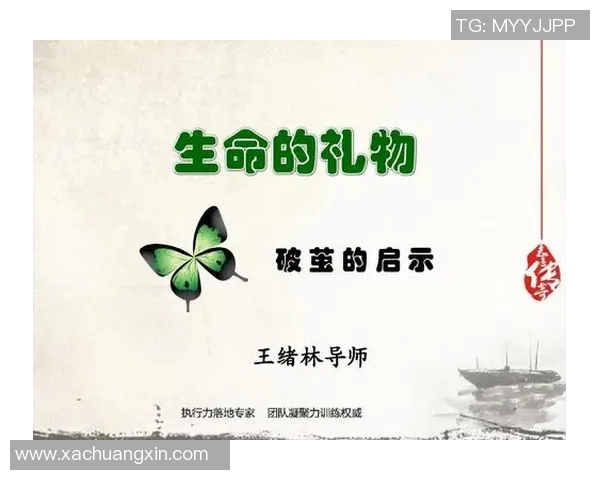 南京篮球队心理素质提升之路：从挑战到蜕变的热议探讨