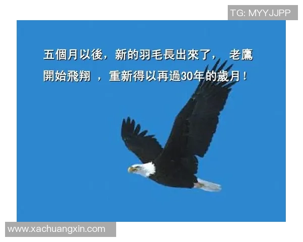 广州羽毛球队在世锦赛中的蜕变与新战略探索之路